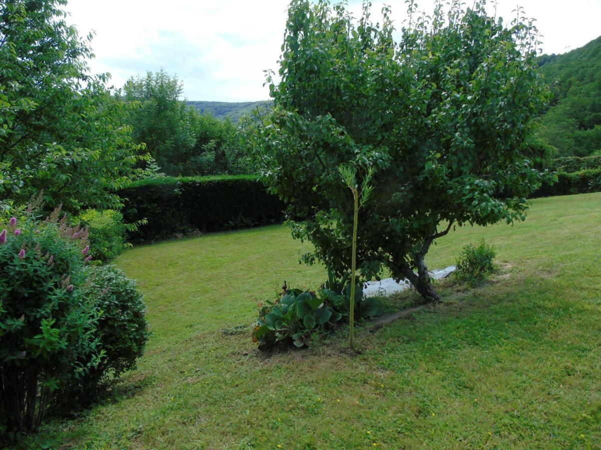 Maison L'Hirondelle Rustique A Tournavaux Exteriér fotografie