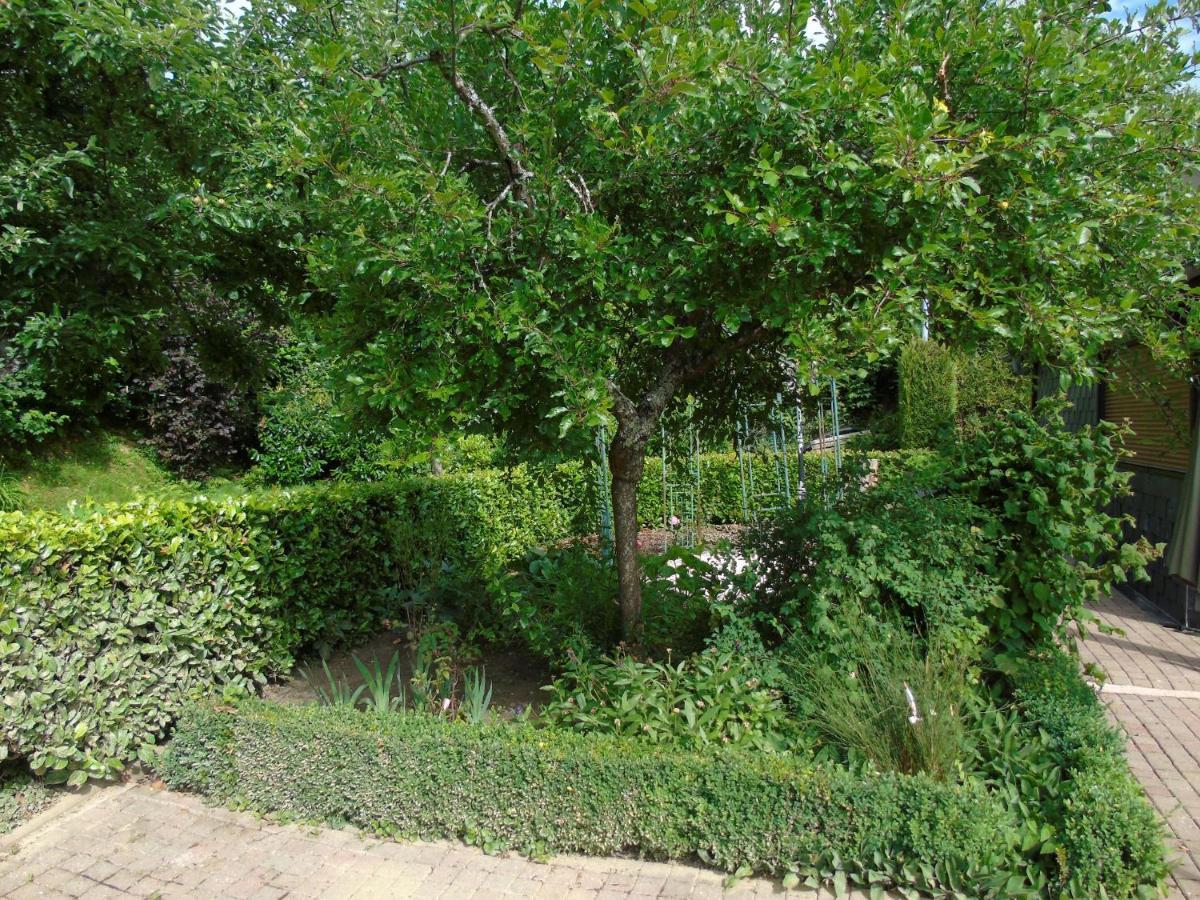 Maison L'Hirondelle Rustique A Tournavaux Exteriér fotografie