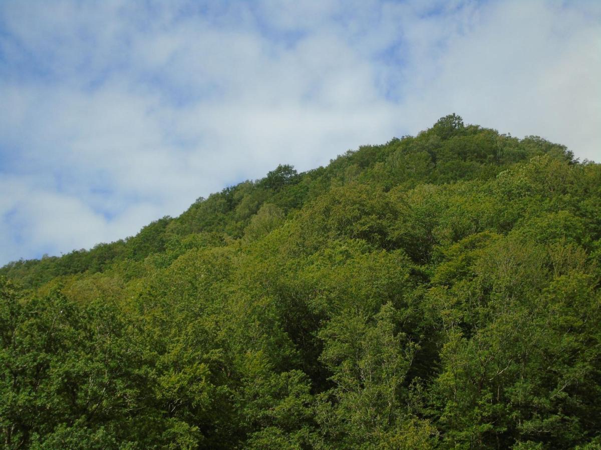 Maison L'Hirondelle Rustique A Tournavaux Exteriér fotografie